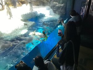 IMG_4751.jpeg