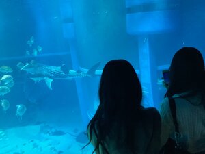 IMG_4750.jpeg