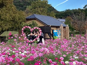 IMG_4661.jpeg