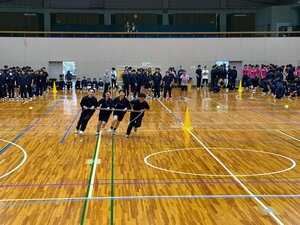 IMG_6146.jpg